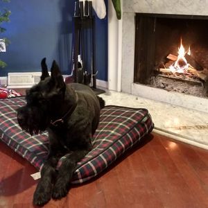 Meet your Posher, Stephen